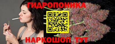 Альфа ПВП Моздок