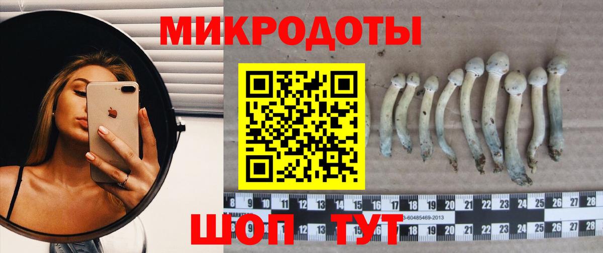 Псилоцибиновые грибы Psilocybine cubensis  Псилоцибиновые грибы мицелий  Александров  Вход с VPN 
